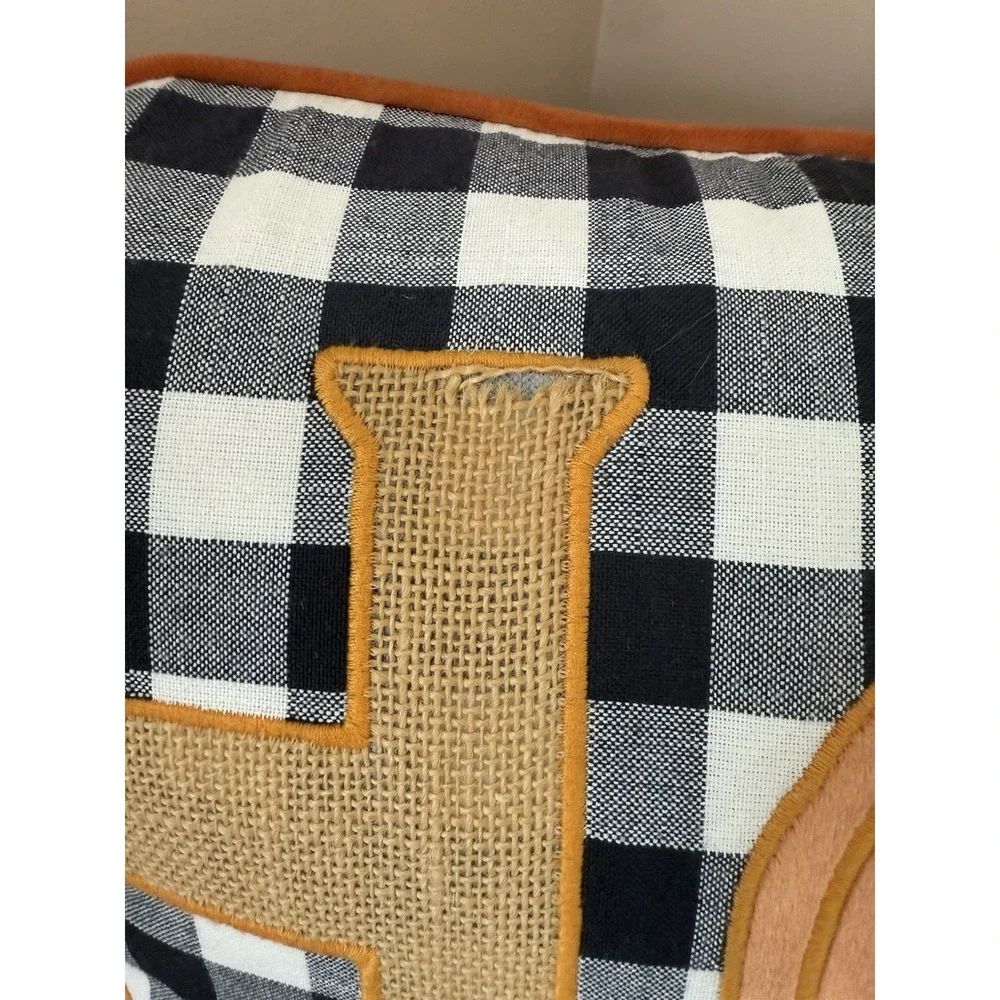 HFS Home Pumpkin Fall Harvest Plaid Down Feather Pillow Orange Velvet 20x20‎
